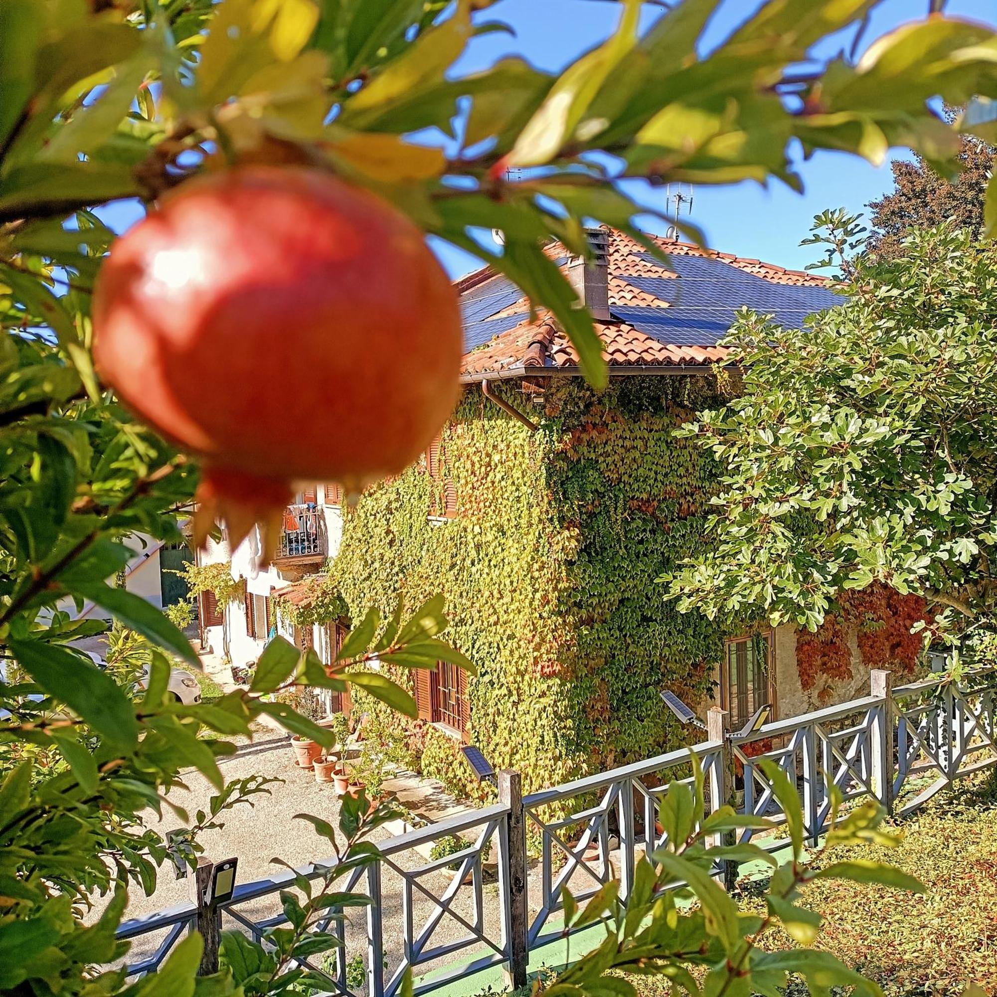 Casa Del Canta Borgomale Εξωτερικό φωτογραφία